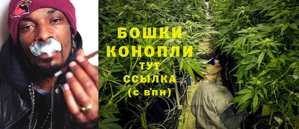 стафф Елизово