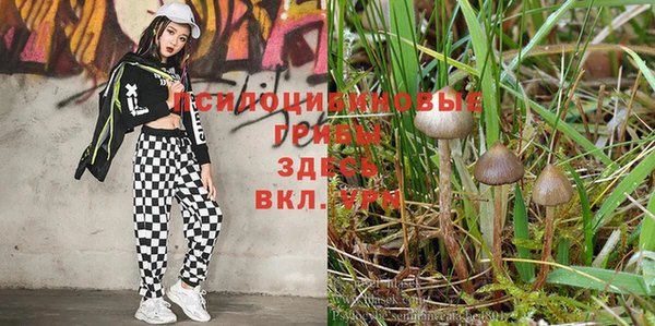 прущая мука Орехово-Зуево