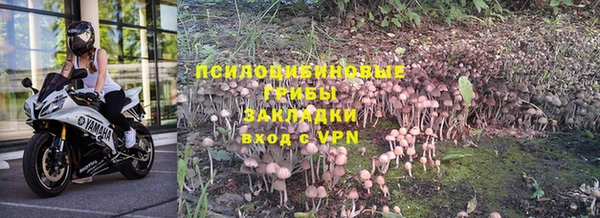 гашишное масло Долгопрудный