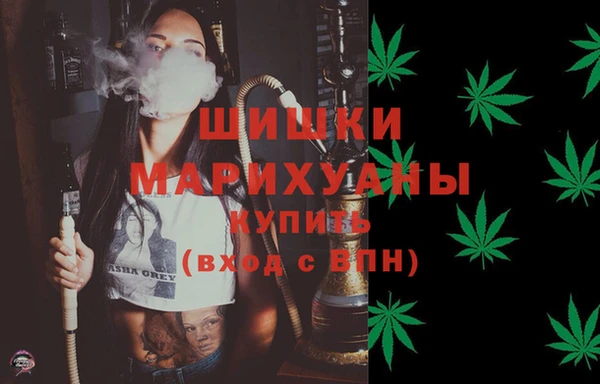 крисы Горняк